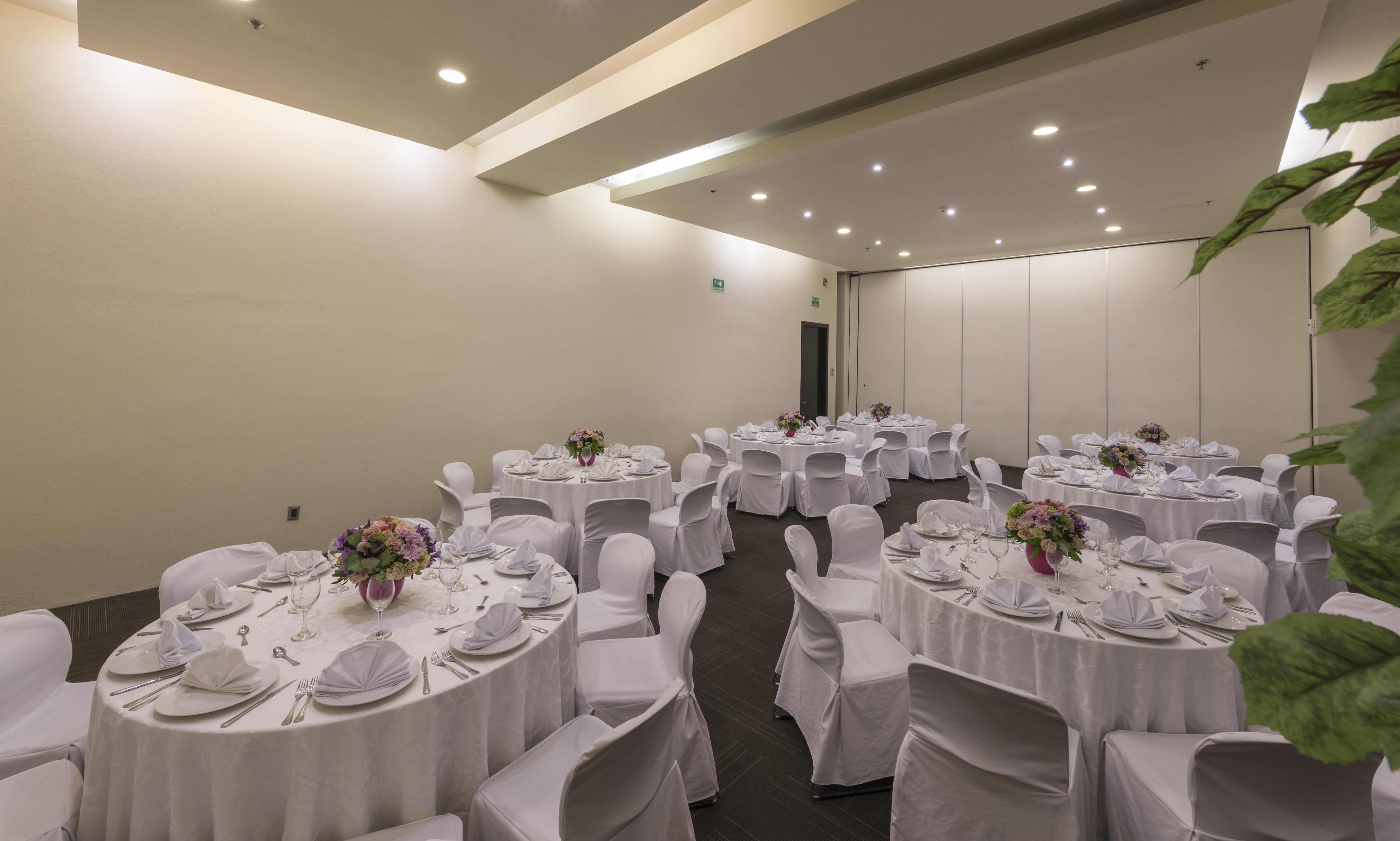 Victoria Ejecutivo Hotel Guadalajara Bagian luar foto